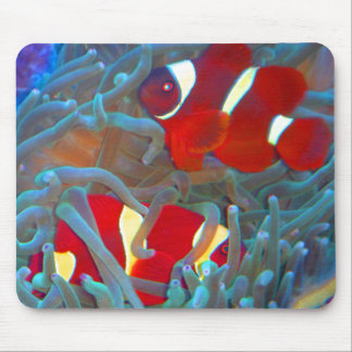 Maroon Clownfish Mouse Pad