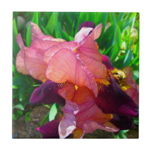 Maroon Iris Flower Patch Ceramic Tile