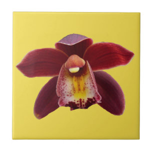 Maroon Orchids I Beautiful Red Floral Ceramic Tile