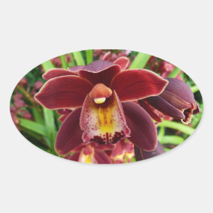 Maroon Orchids I Beautiful Red Floral Oval Sticker