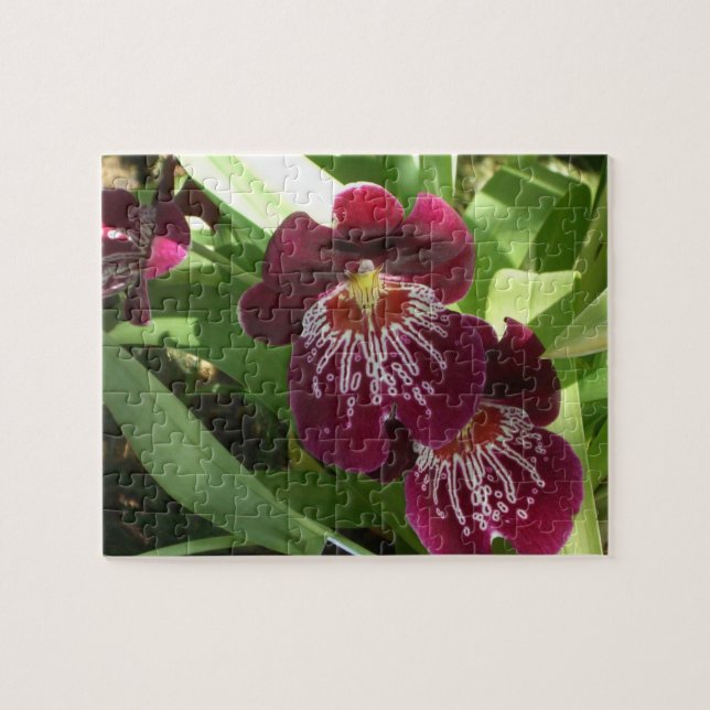 Maroon Orchids II Elegant Floral Jigsaw Puzzle (Horizontal)