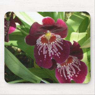 Maroon Orchids II Elegant Floral Mouse Pad