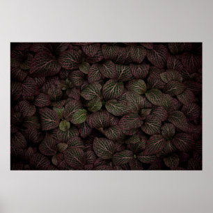 Maroon petaled flower poster