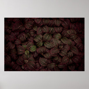 MAROON PETALED FLOWER POSTER