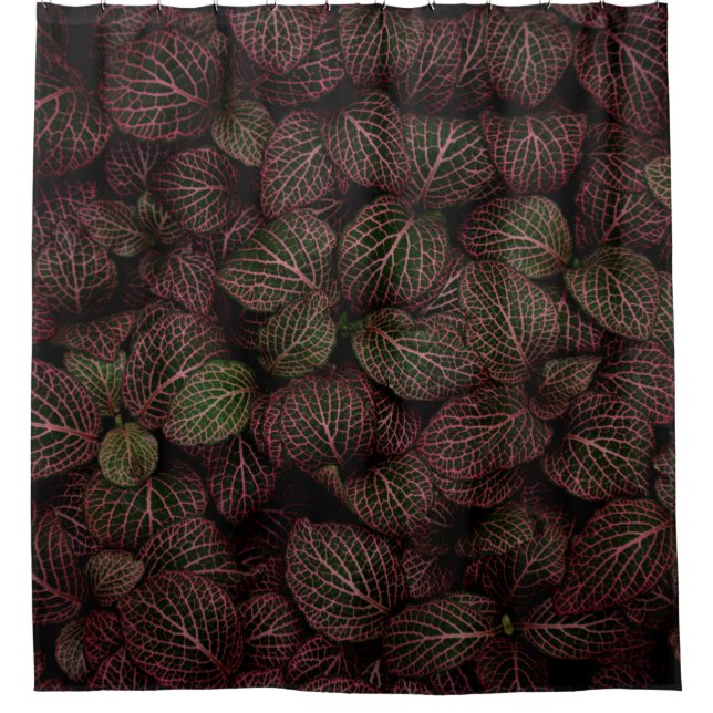 MAROON PETALED FLOWER SHOWER CURTAIN (Front)