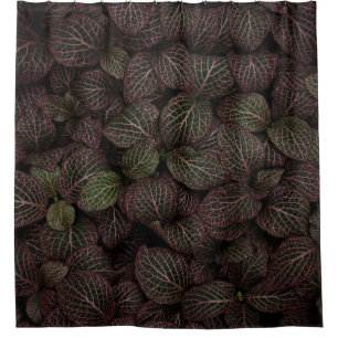 Maroon petaled flower shower curtain