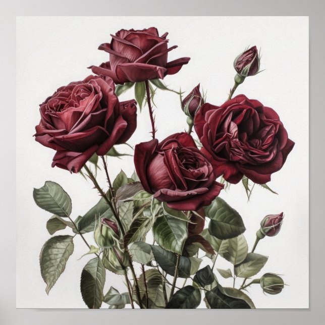 Maroon Roses Flower Art Print Poster (Front)