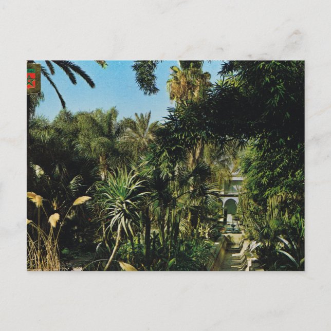 Marrakesh, Majorelle gardens, Morocco Postcard (Front)
