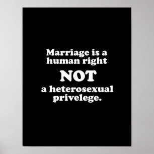 Marriage is a human right, not a heterosexual priv poster