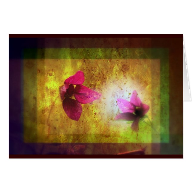 marriage of Titania; Salmon berry floral duet (Front Horizontal)