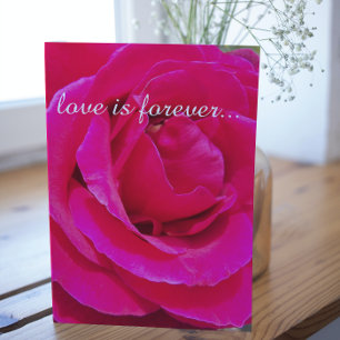 Marriage Proposal Hot Pink Rose Floral Big Card