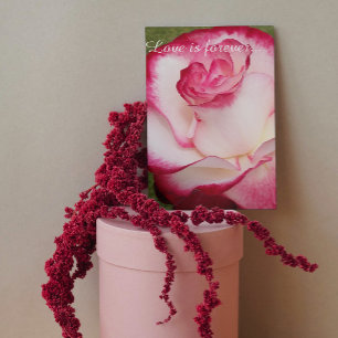 Marriage Proposal Pink and White Rose Floral Big Card