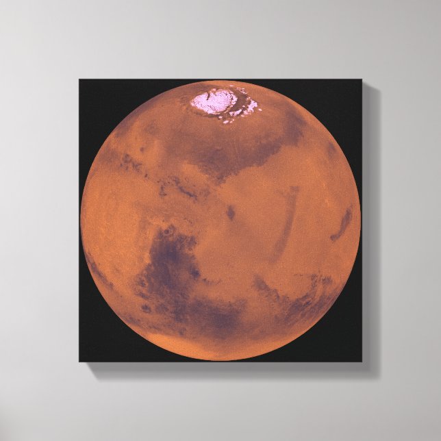 Mars 6 canvas print (Front)