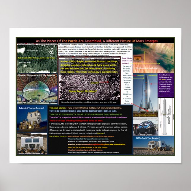 Mar's Forests Poster (Front)