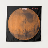 Mars Globe by NASA