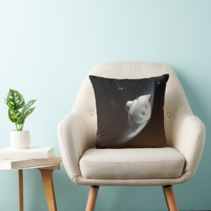 Mars Science Laboratory Aeroshell Capsule 2 Cushion