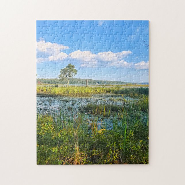 Marsh At Massabesic Jigsaw Puzzle (Vertical)