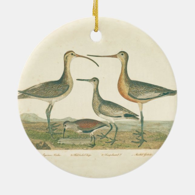 Marsh Bird Curlew Snipe Birding Ceramic Ornament (Back)