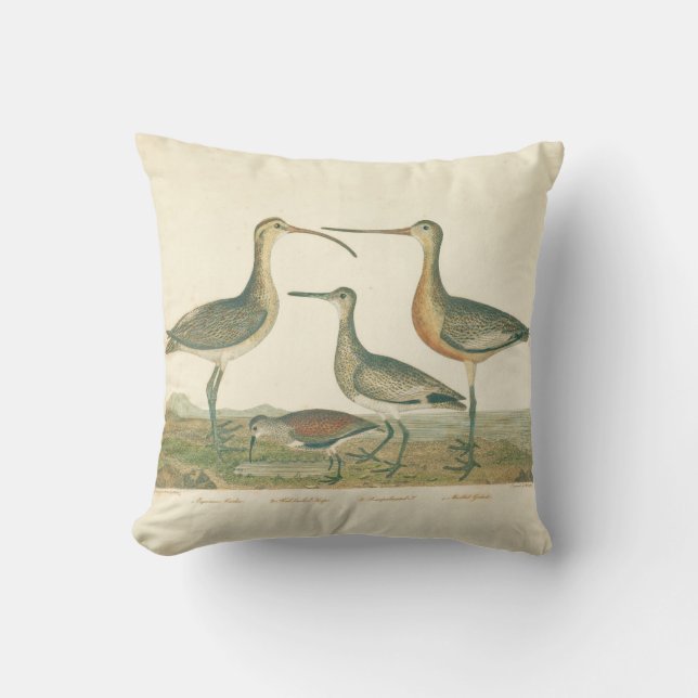 Marsh Bird Curlew Snipe Birding Cushion (Front)