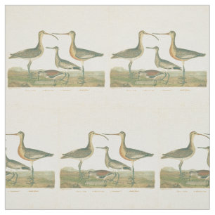 Marsh Bird Curlew Snipe Birding Fabric