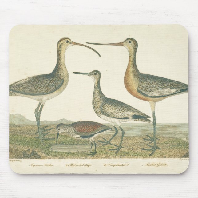 Marsh Bird Curlew Snipe Birding Mouse Pad (Front)