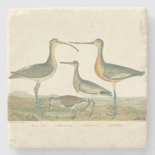 Marsh Bird Curlew Snipe Birding Stone Coaster