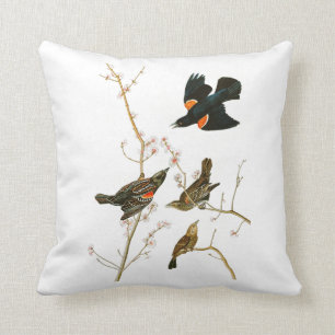 Marsh Blackbird John Audubon Birds of America Cushion