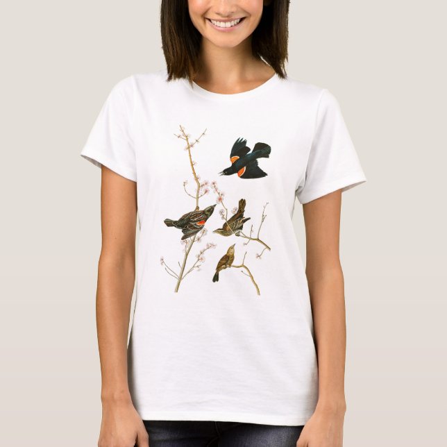 Marsh Blackbird John Audubon Birds of America T-Shirt (Front)