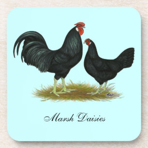 Marsh Daisy Chickens Coaster