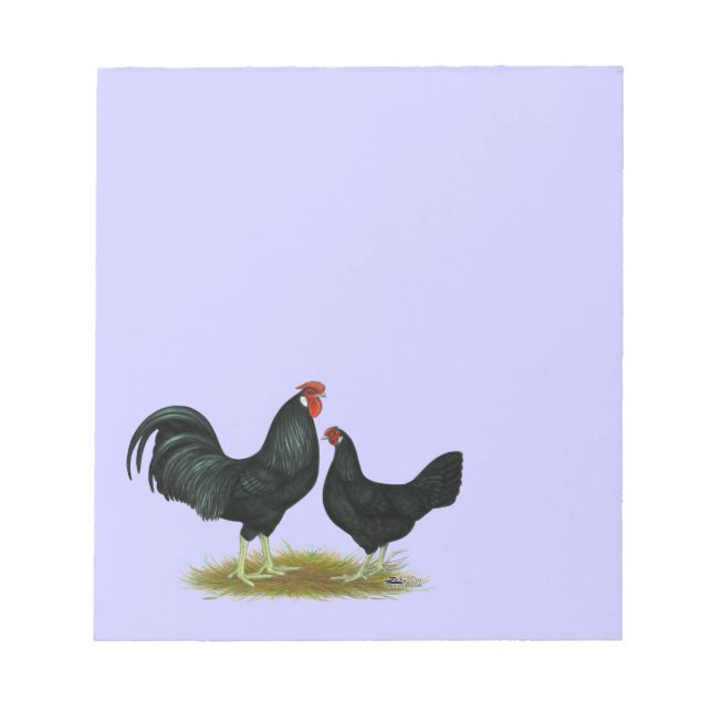 Marsh Daisy Chickens Notepad (Front)