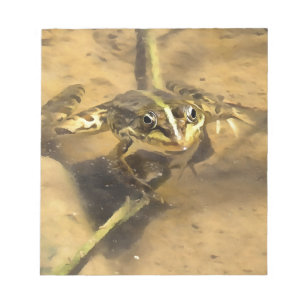 Marsh Frog Immersed In River Water Painting Notepad
