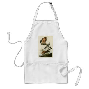 Marsh Hawk from Audubon's Birds of America Standard Apron
