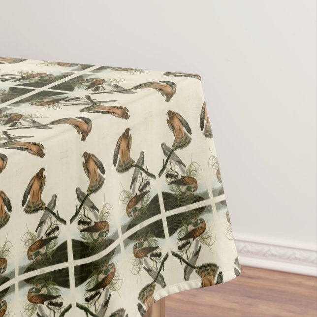 Marsh Hawk from Audubon's Birds of America Tablecloth (In Situ)