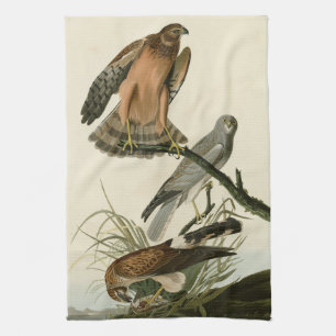 Marsh Hawk from Audubon's Birds of America Tea Towel