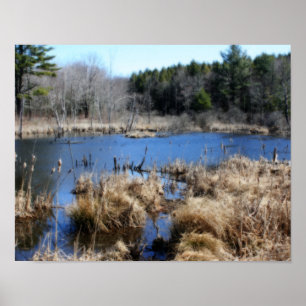 Marsh In Spring Orton Art Nature Poster