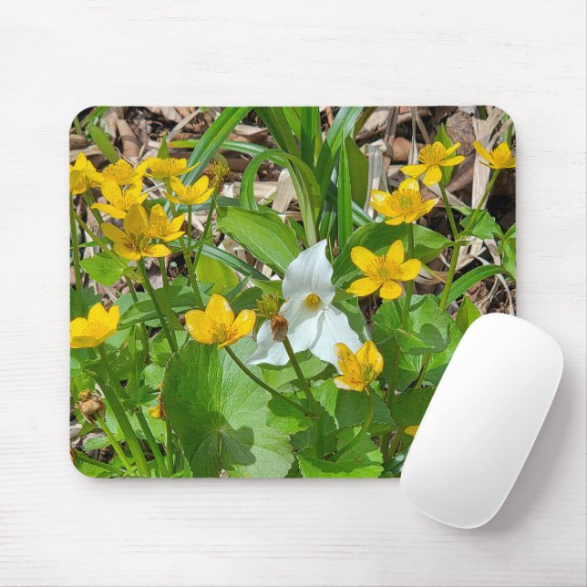 Marsh Marigold Flowers with a Trillium Mouse Pad (With Mouse)