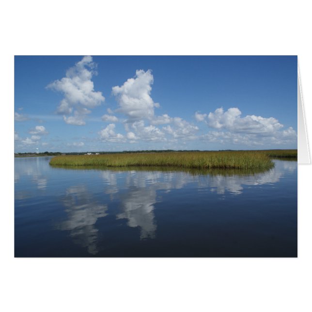 Marsh Mellow II (Front Horizontal)