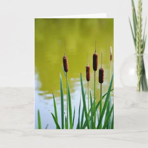 Marsh Mothers Day Scene Card