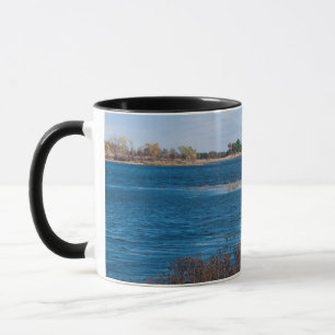 marsh point at necedah refuge mug