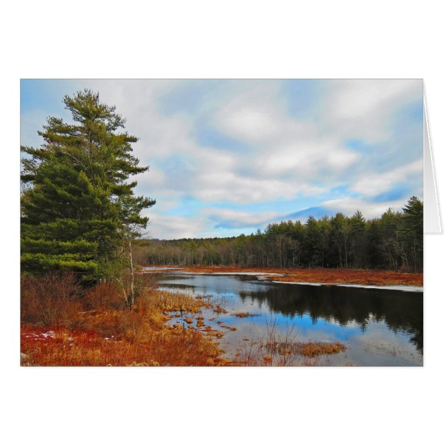 Marsh Stream (Front Horizontal)
