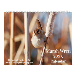 Marsh Wren Calendar