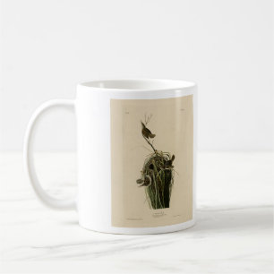 Marsh Wren from Audubon's Birds of America Coffee Mug