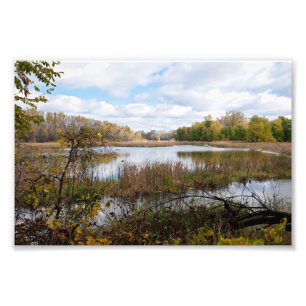Marshes and Forests of Refuge in Eagan Photo Print