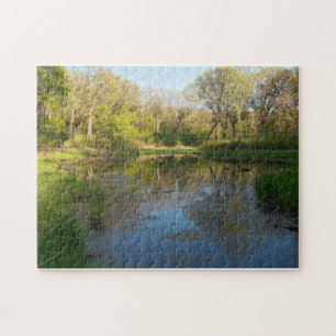 Marshes of Battle Creek Park Jigsaw Puzzle