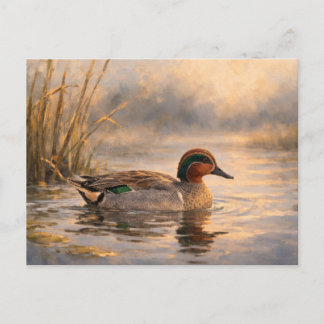 Marshland Duck | Coastal Wildlife Art | Postcard