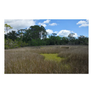 marshland Florida Photo Print