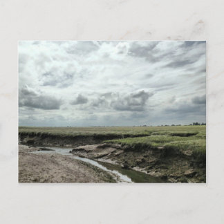 Marshland Postcard
