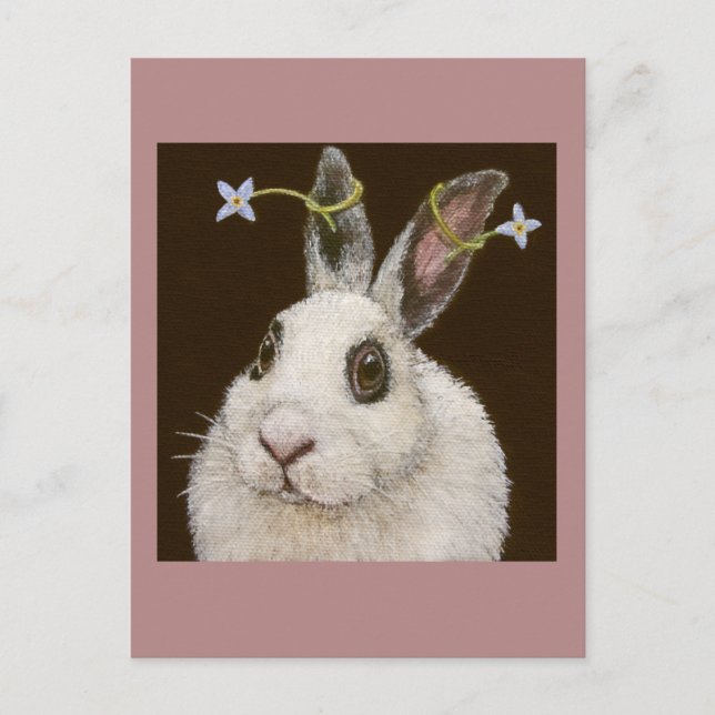 marshmallow the bunny postcards (Front)