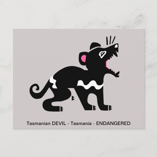 Marsupial - Tasmanian DEVIL - Aussie Wildlife Postcard (Front)