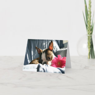 Martha and Gerber Daisy Card